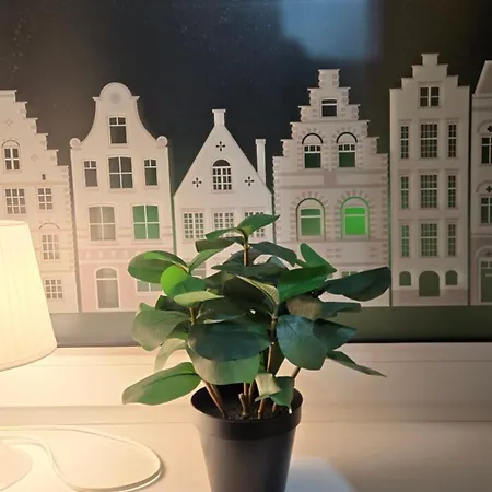 Auberge de jeunesse Guide